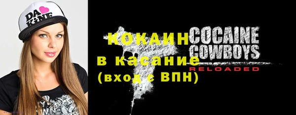 ешки Ельня