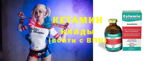 ешки Ельня