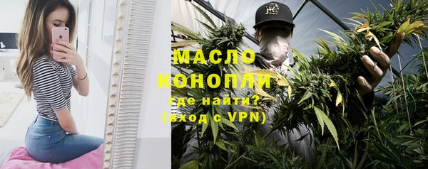 ешки Ельня