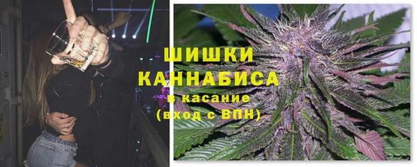 стаф Дмитровск