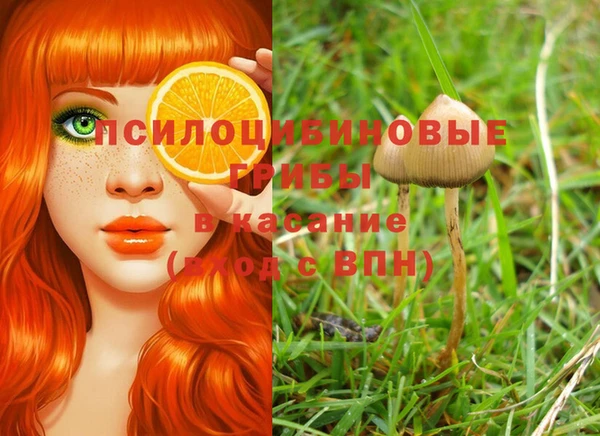 ешки Заводоуковск