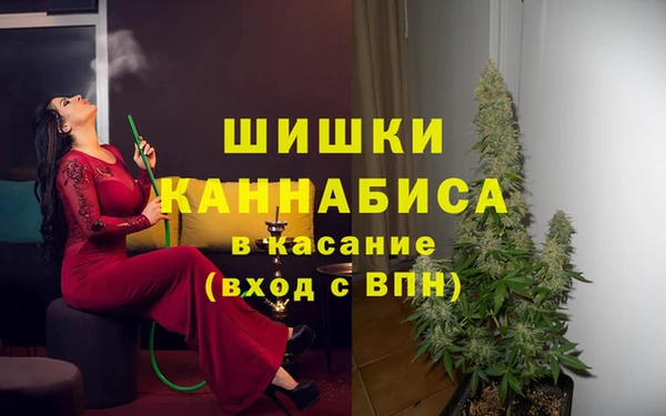 ешки Ельня